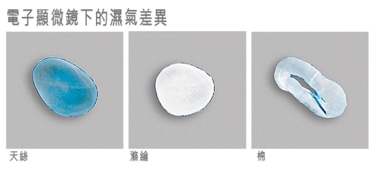 圖片提供_日比家族 圖片提供_日比家族